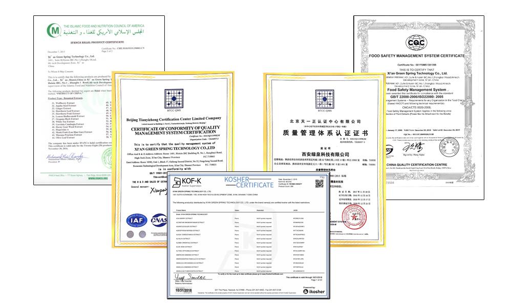 Certificate of qualification.jpg