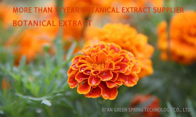 Marigold extract